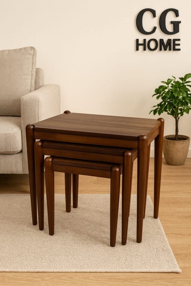 ADA Zigon Sehpa Üçlü Lüx %100 Ağaç Lake Boyalı Sehpa