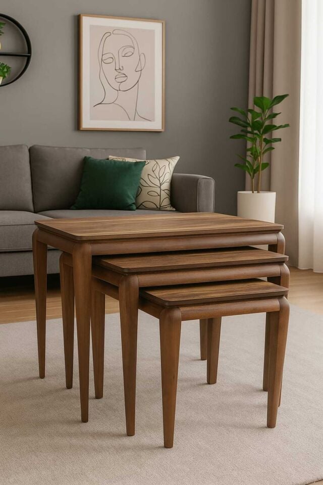 MİLAS ZİGON SEHPA ÜÇLÜ %100 AĞAÇ LAKE BOYALI SEHPA